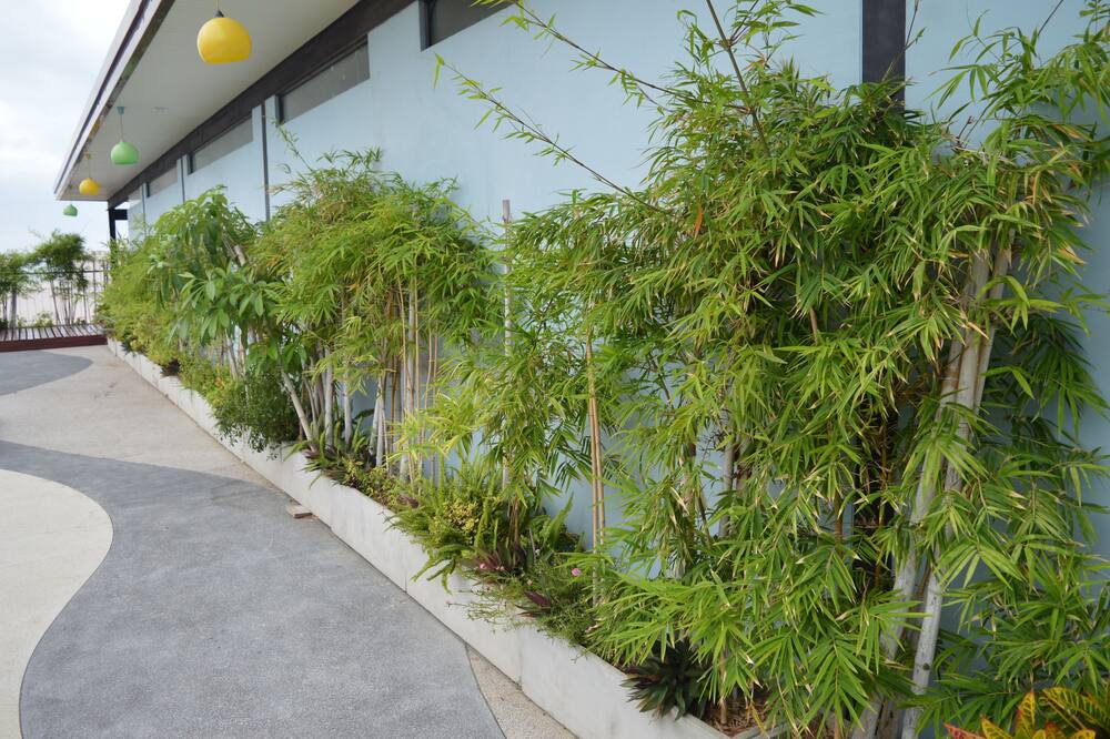 アヤ ブティック ホテル 写真