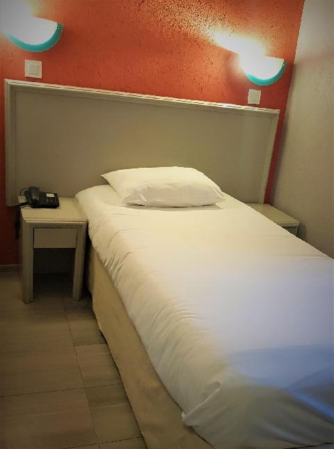 Berlioz Nn Lyon 写真