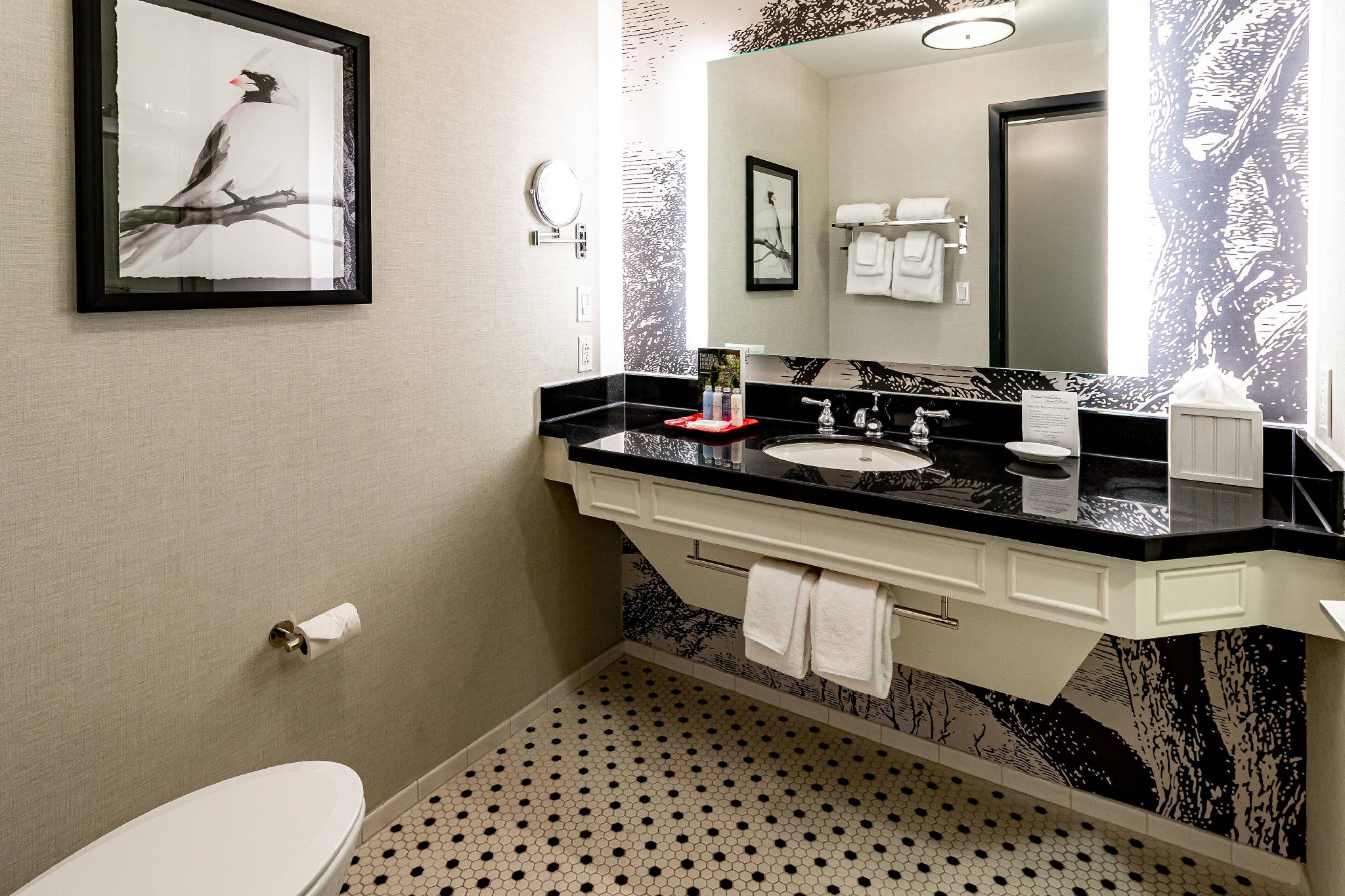 Williamsburg Lodge, Autograph Collection 写真