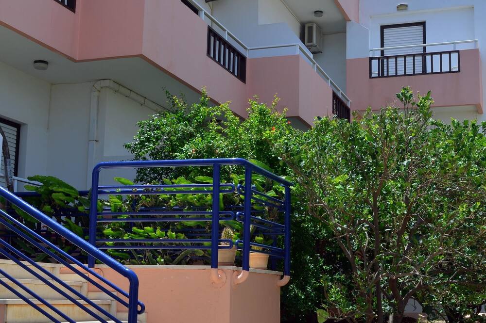 ティスヴィ 写真