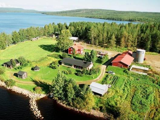 ナパピーリン ヤルヴィロマット 写真