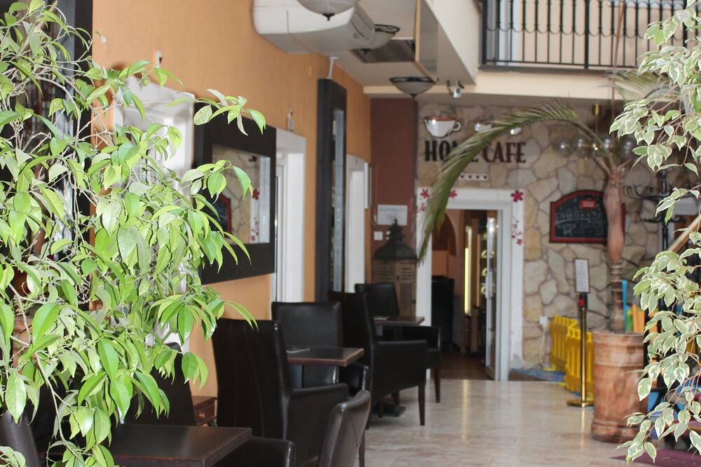 エンジョイ イン 写真