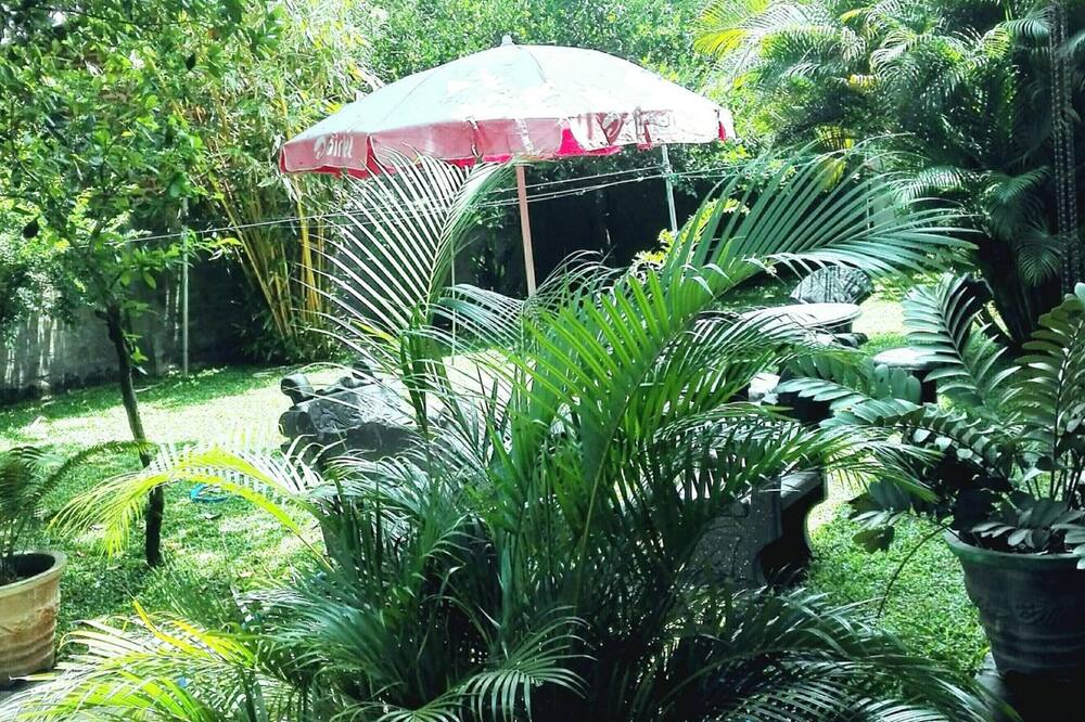 タケシ イン 写真