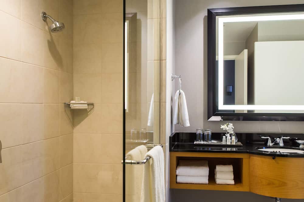 ルネッサンス シカゴ オヘア スイーツ ホテル 写真