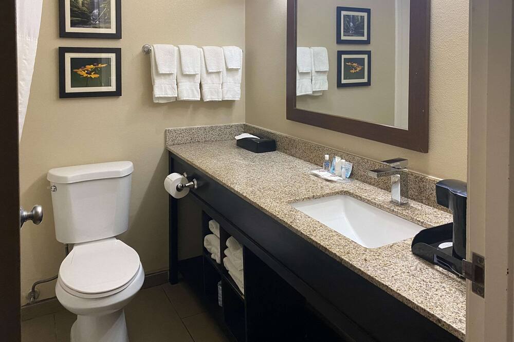 コンフォート スイーツ ペオリア I-74 写真