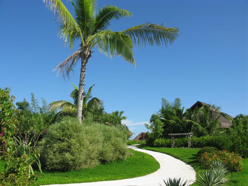 エスカヤ ビーチ リゾート&スパ 写真