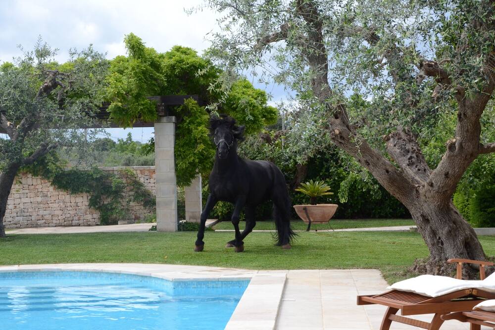 ホテル シルバ 写真