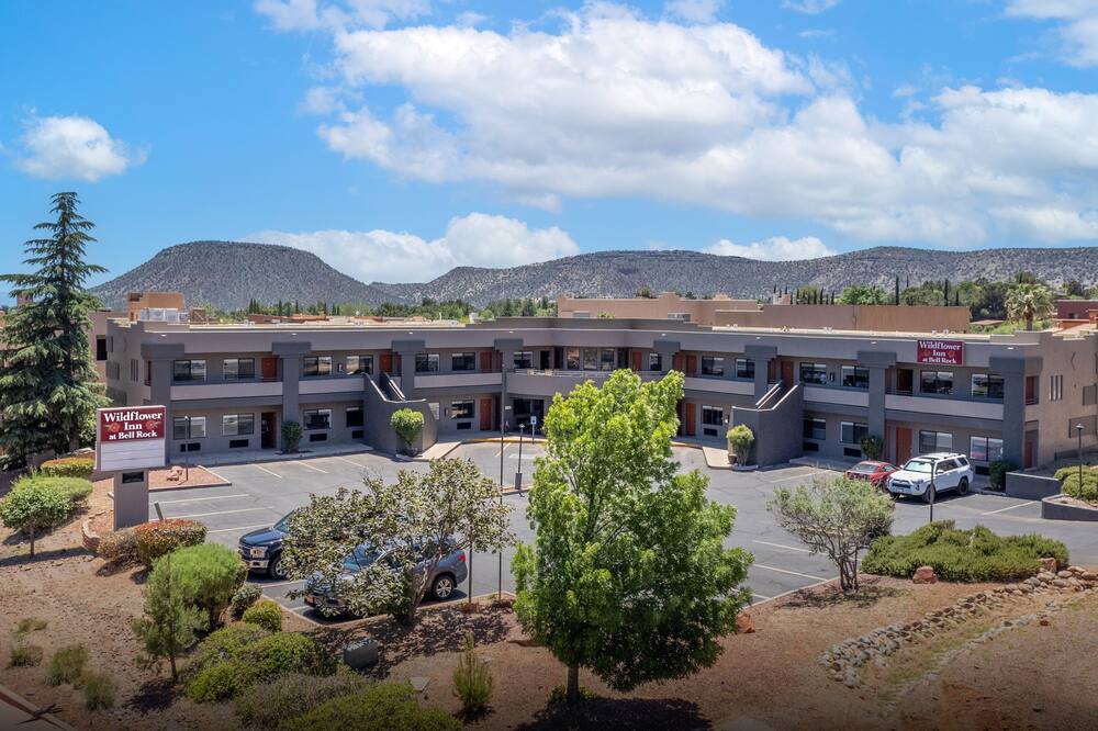 ワイルドフラワー イン アット ベル ロック 写真