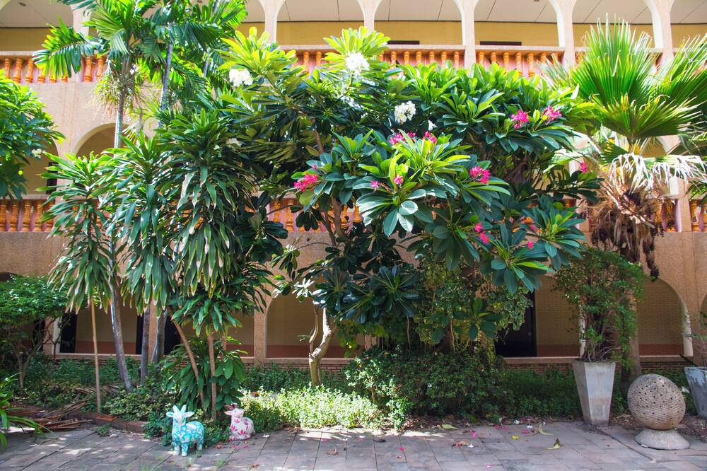 S ロッジ パタヤ 写真