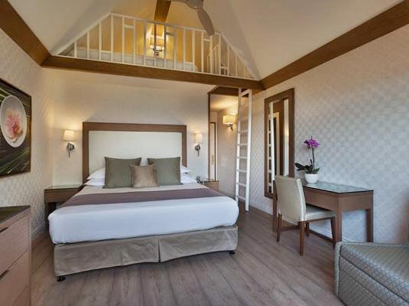 オーキッド エイラット 写真