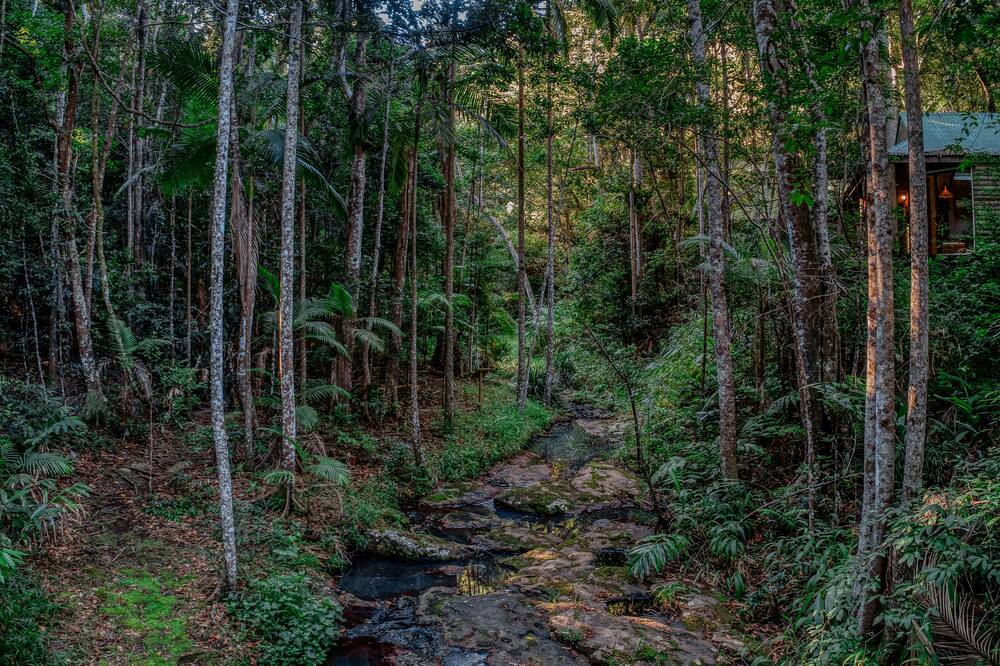 ナローズ エスケープ レインフォレスト リトリート 写真