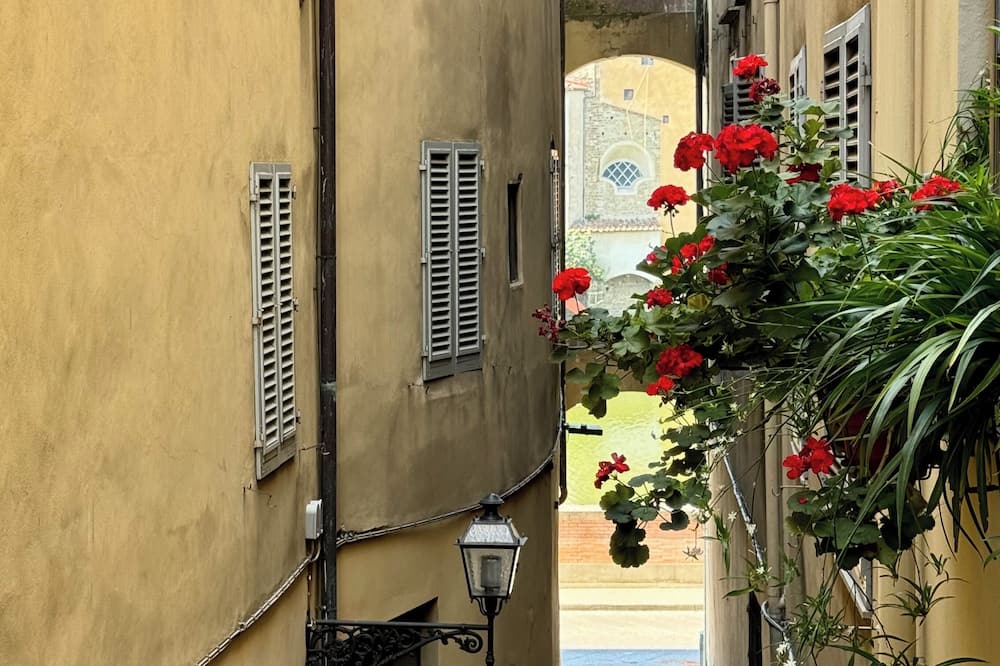 ホテル チェステリ 写真