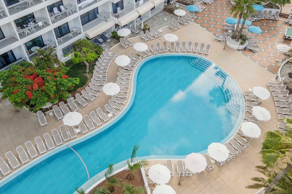 オナ パームビーチ 写真