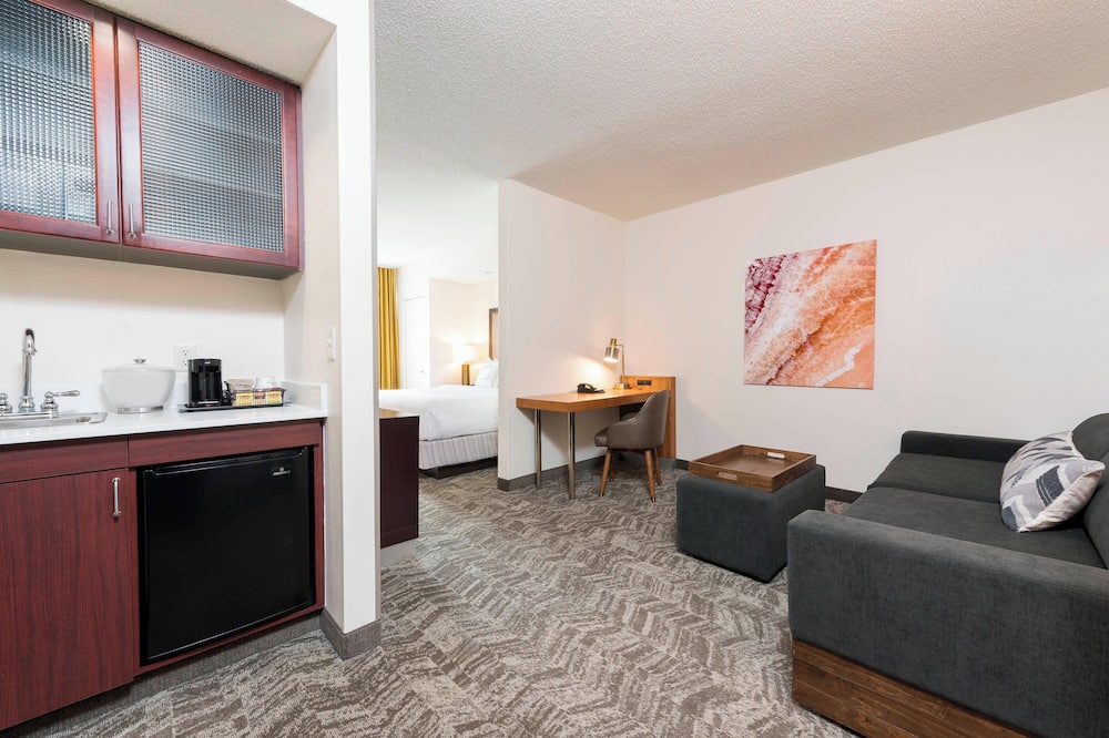 SpringHill Suites by Marriott Grand Rapids North 写真
