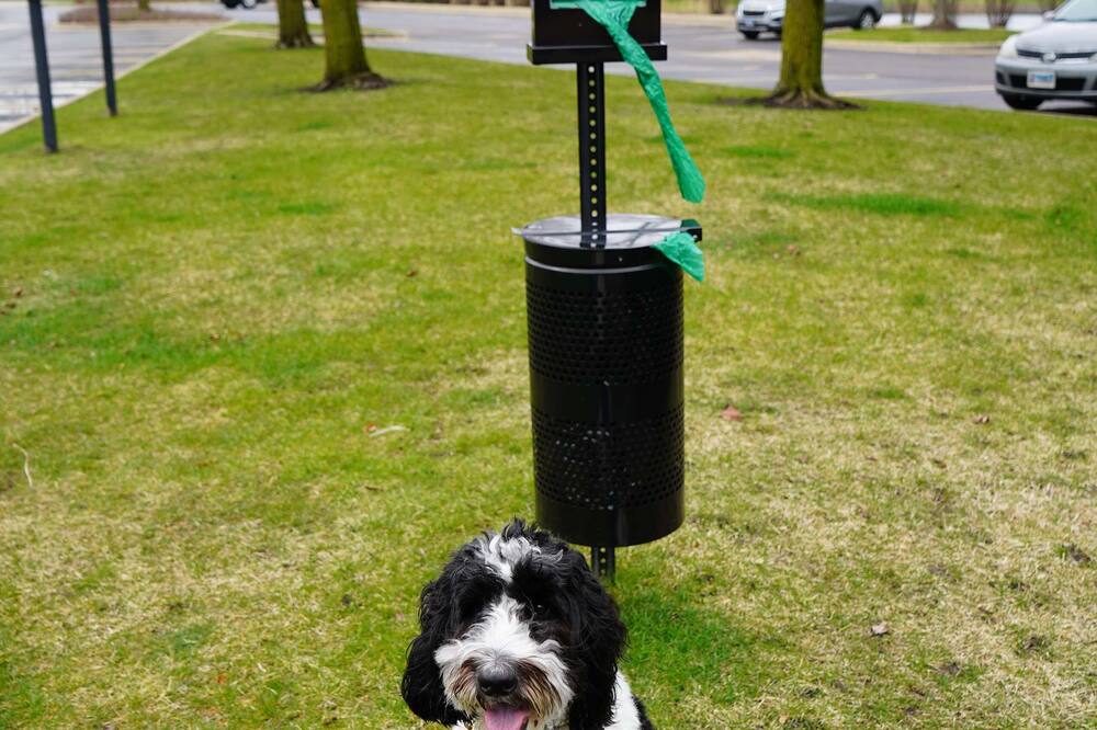 ハンプトン イン&スイーツ シカゴ/オーロラ 写真
