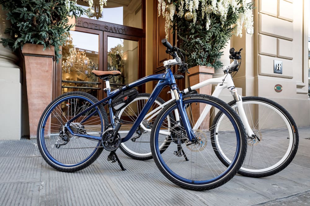 ロッコ フォルテ ホテル サヴォイ 写真