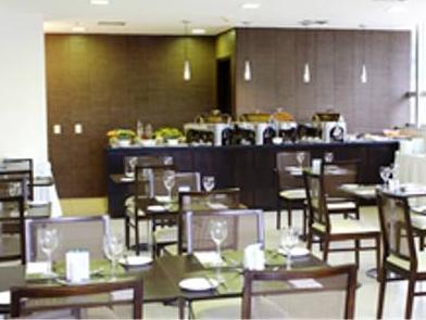 ナオウム エクスプレス ブラジリア 写真