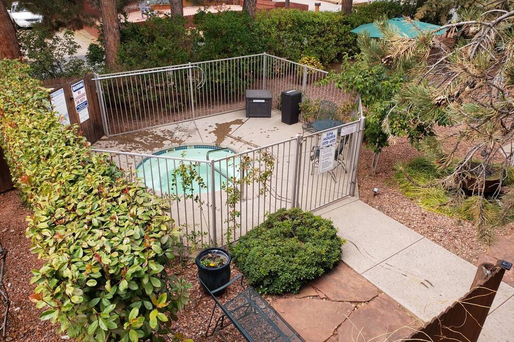 ベイビー クエイル イン 写真