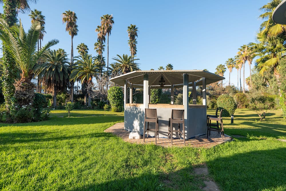 イビス フェス 写真