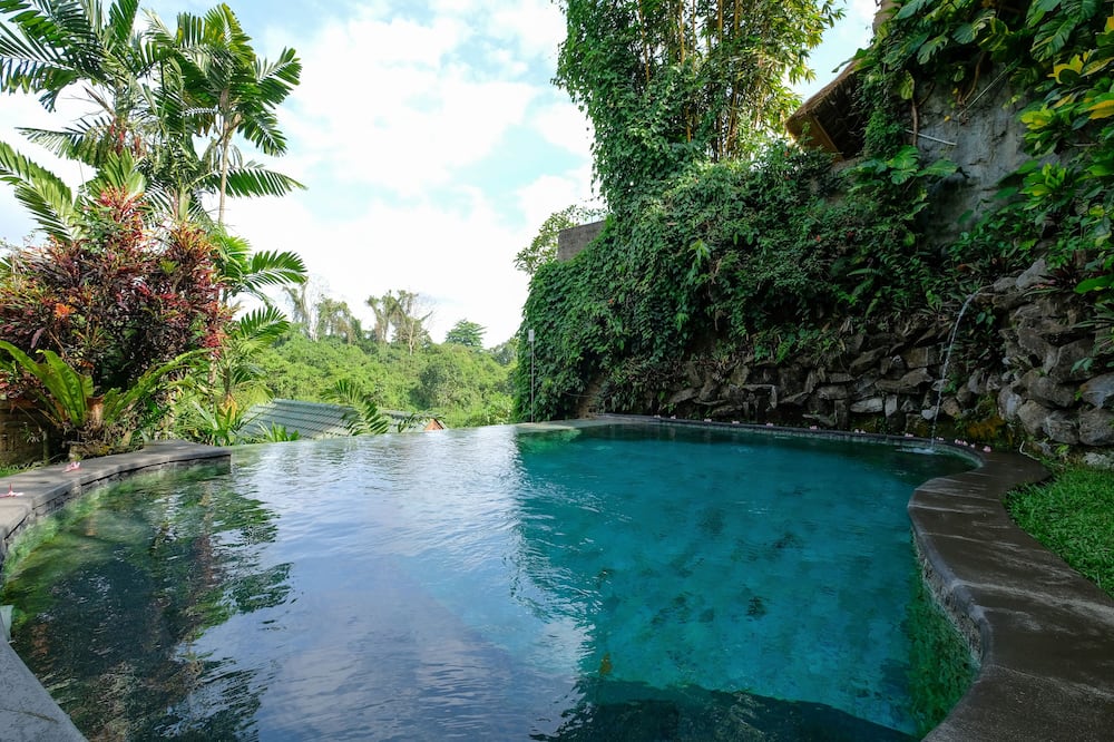 サンライズ ヴィラ ウブド 写真