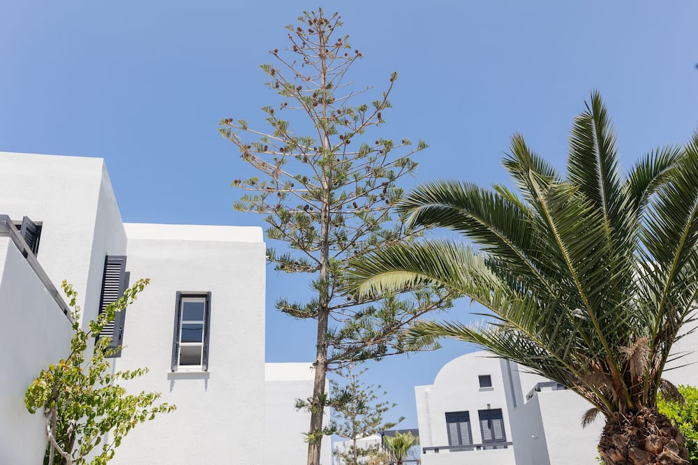 スコルピオス ビーチ サントリーニ 写真