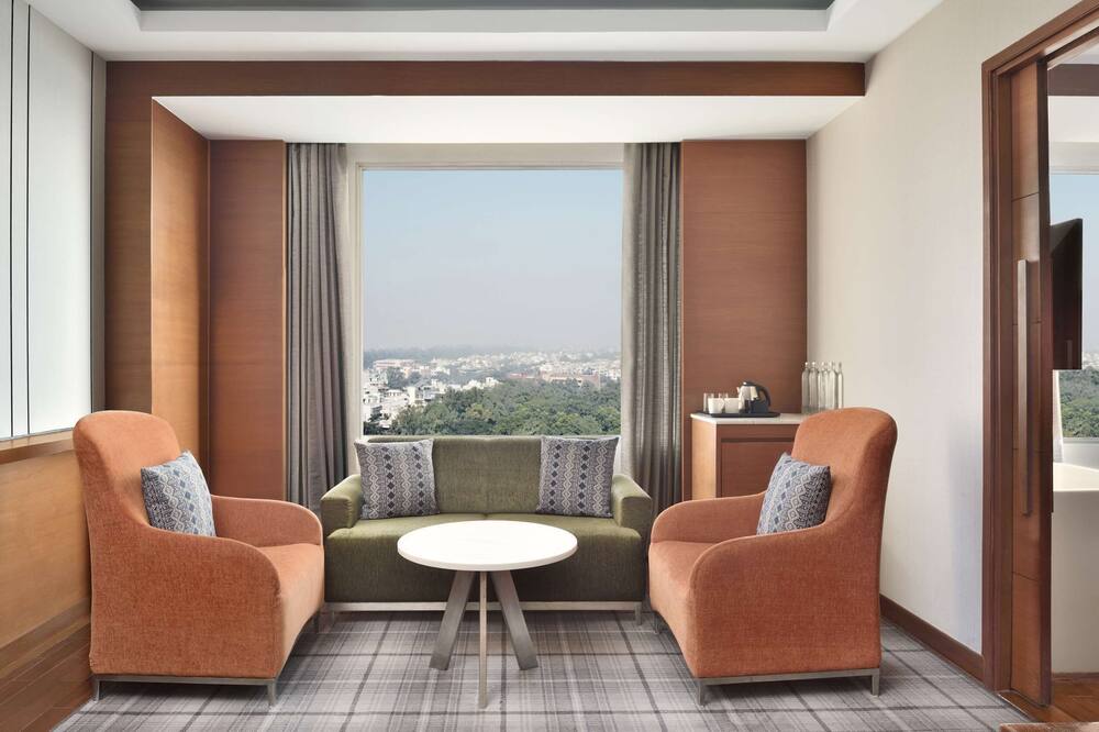 ハイアット  セントリック ジャナックプリ ニューデリー 写真