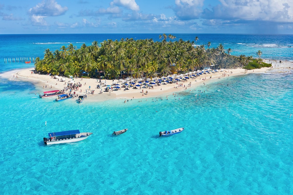 Sol Caribe Sea Flower 写真