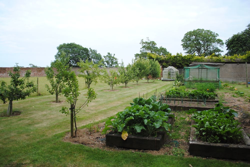 キリアン キャッスル カントリー ハウス & ファーム 写真