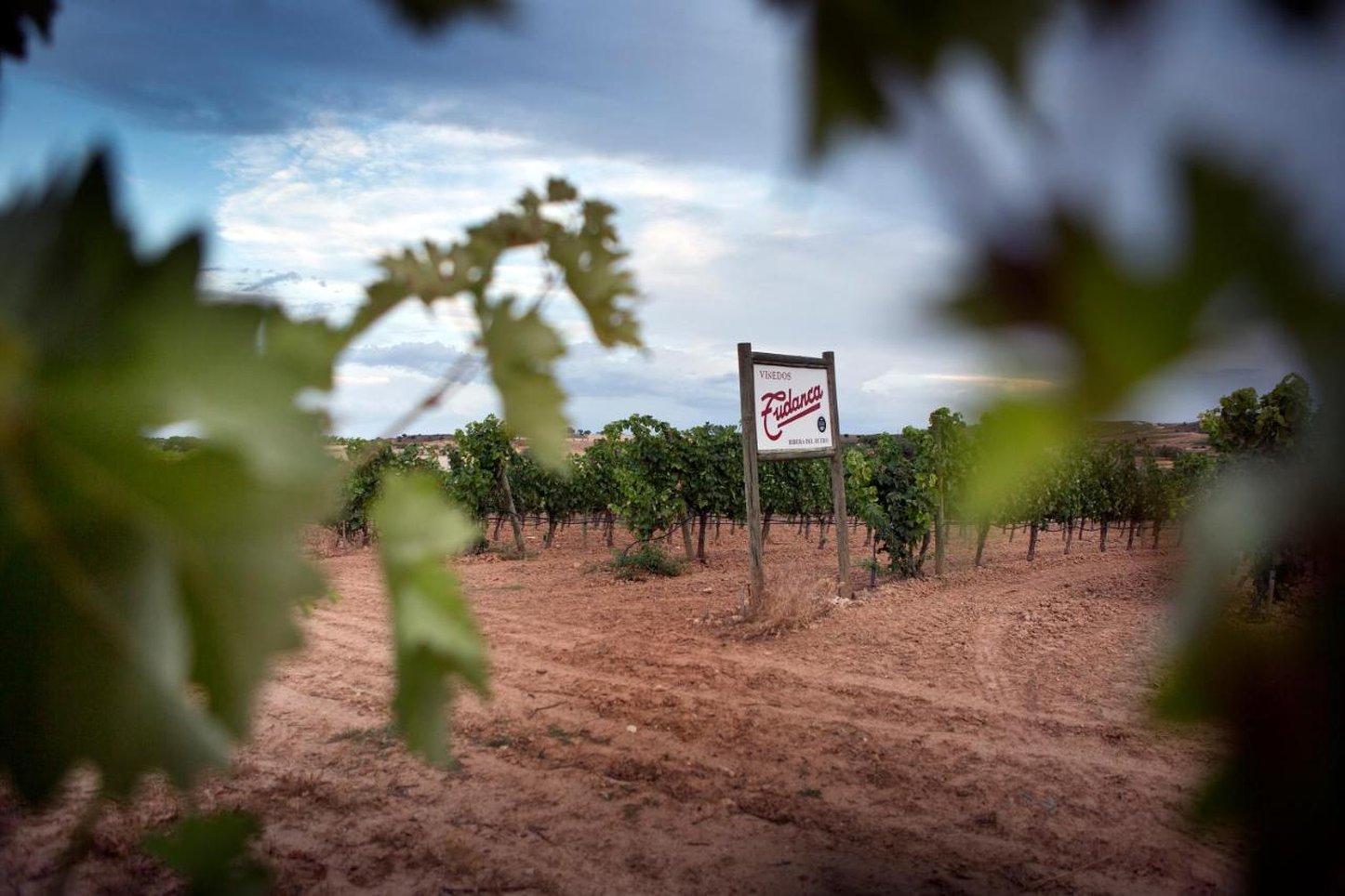 Hotel Spa Tudanca Aranda 写真