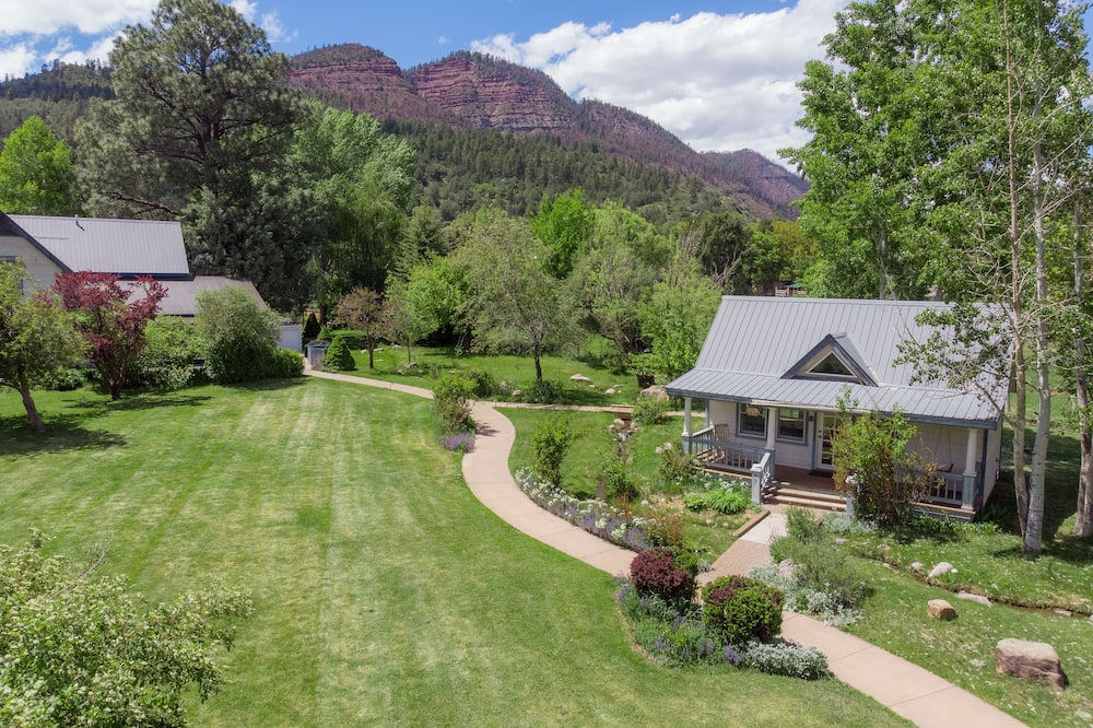 アップル オーチャード イン 写真