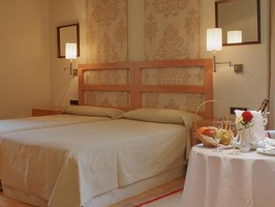 パラドール デ ヴィック-サウ 写真