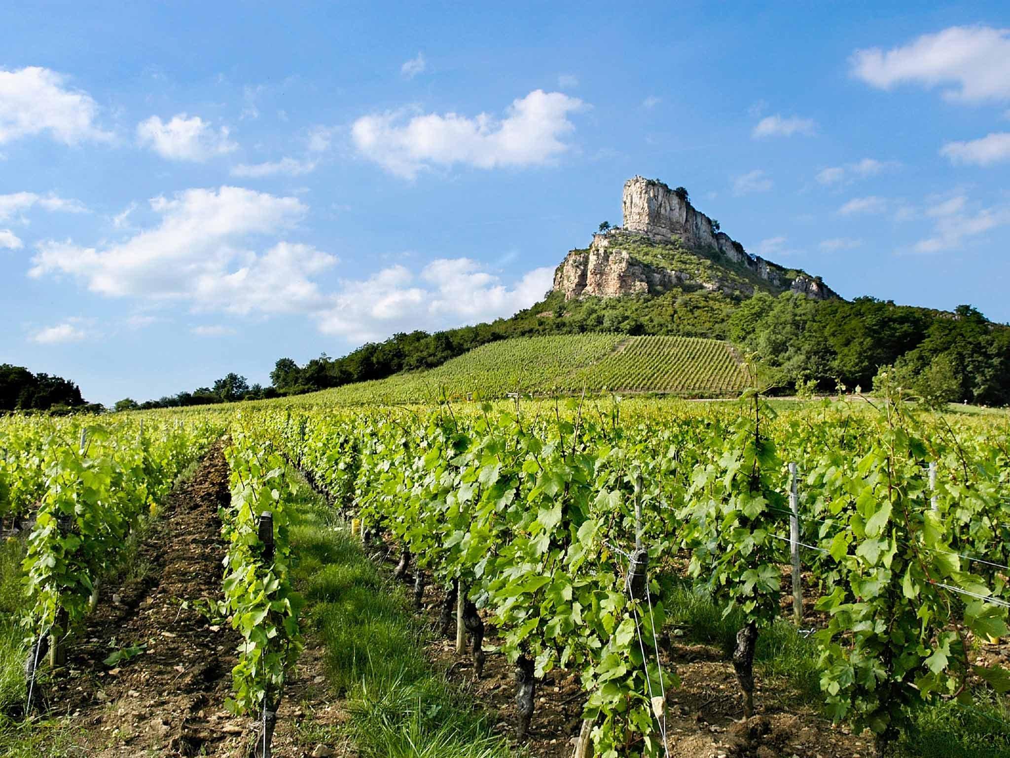 イビス スタイルズ マコン サントル 写真