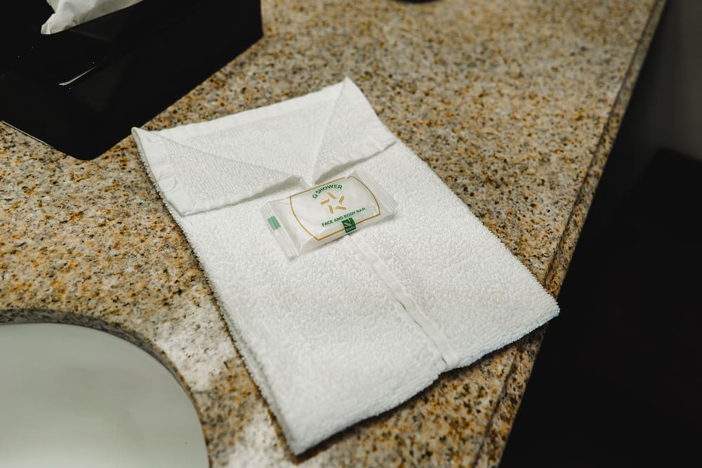 クオリティ イン & スイーツ モンティセロ 写真