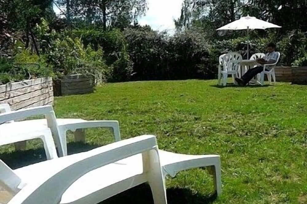 オー ソレイユ ドール 写真