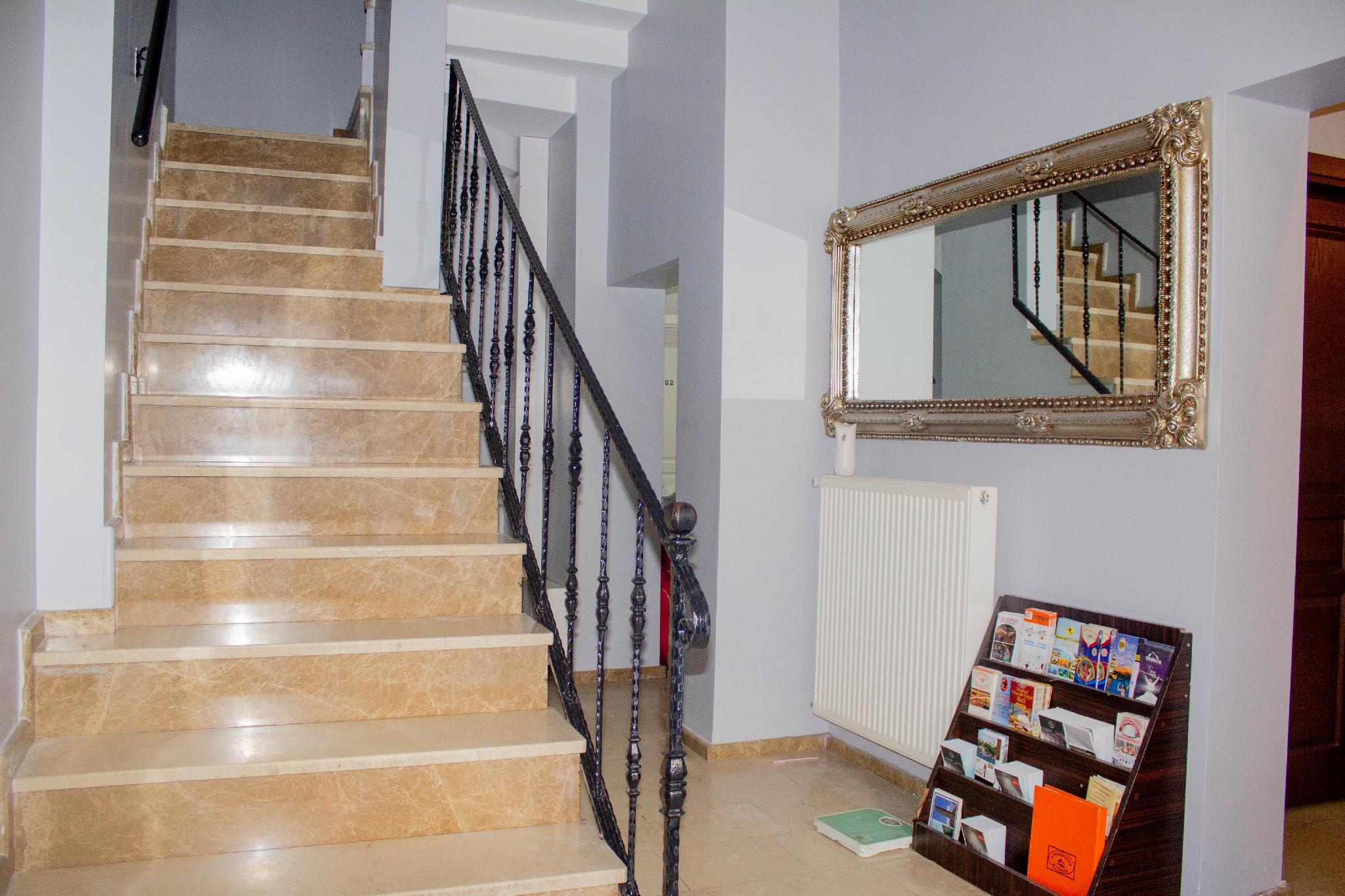 チューリップ ハウス 写真