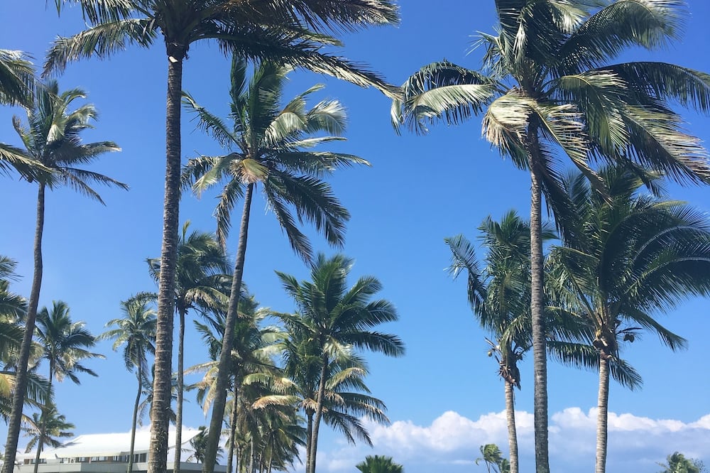 ザ パール サウス パシフィック リゾート 写真