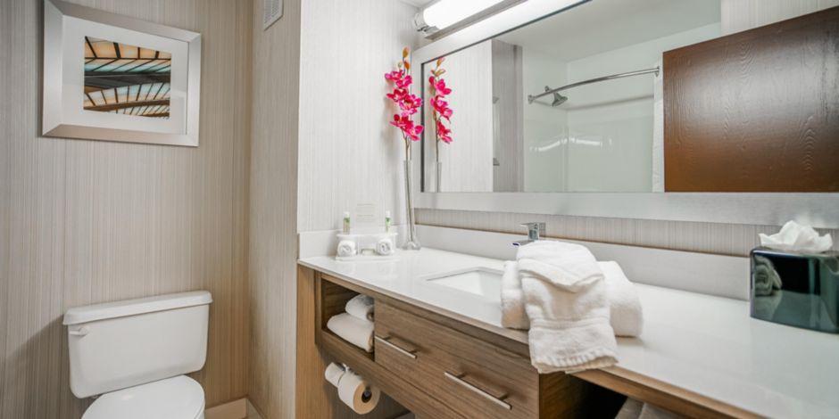 スリープ イン & スイーツ メンフィス サウスイースト 写真