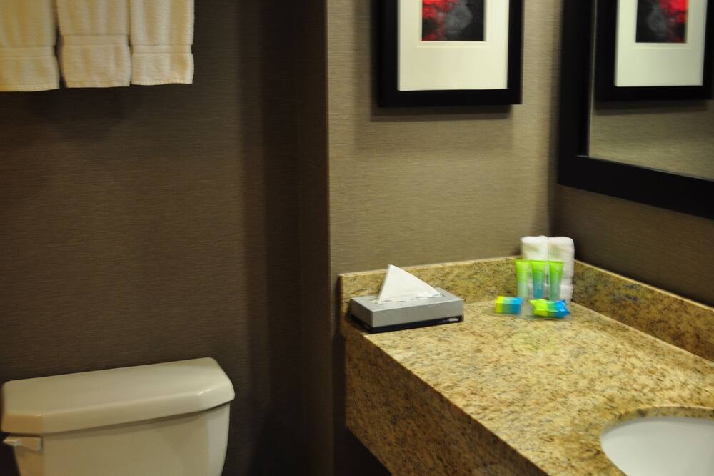 ラディソン ホテル バンクーバー エアポート 写真