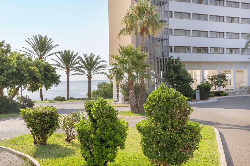 アルア カラス デ マヨルカ リゾート 写真