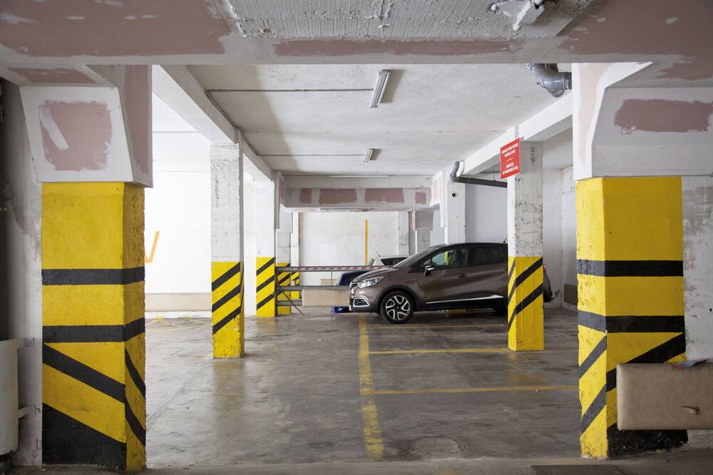 ナポレオン 写真