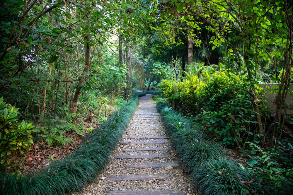 Jagatpur Lodge 写真