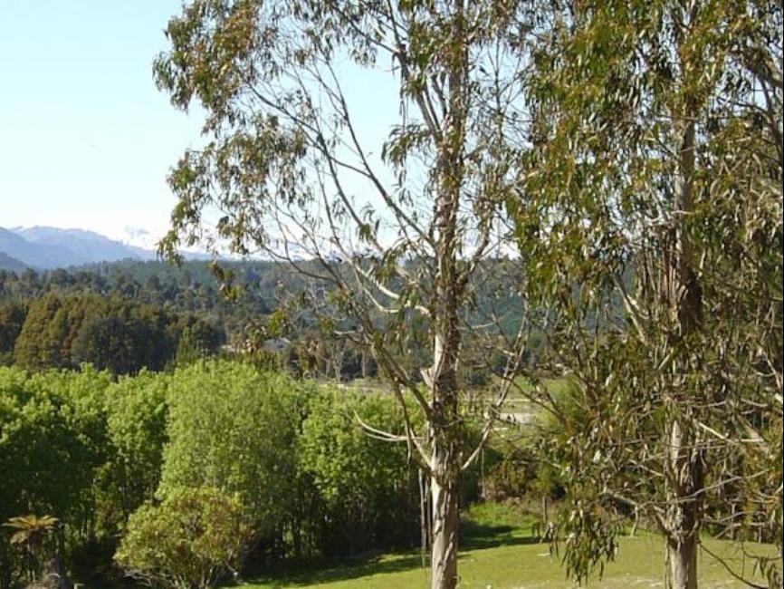 アワトゥナ 写真