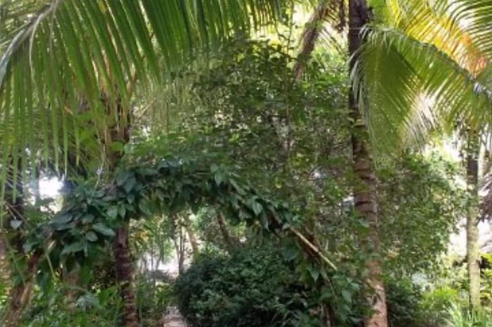 Hotel Salvador Gaviota 写真