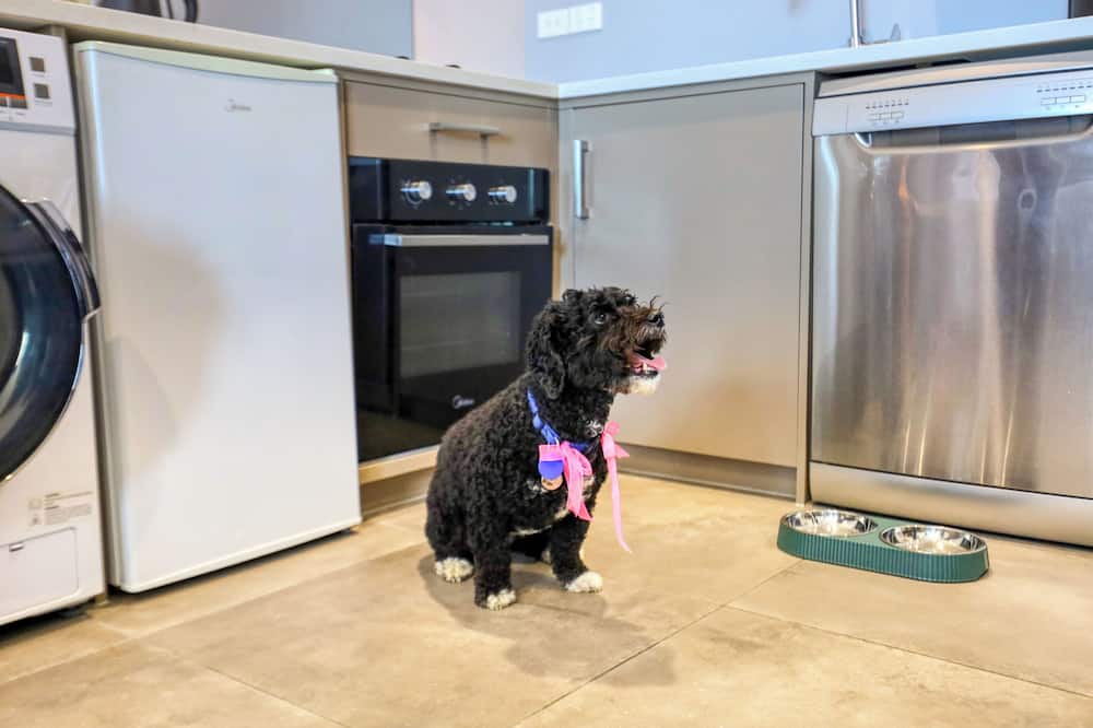 マースデン スイーツ オールバニ 写真