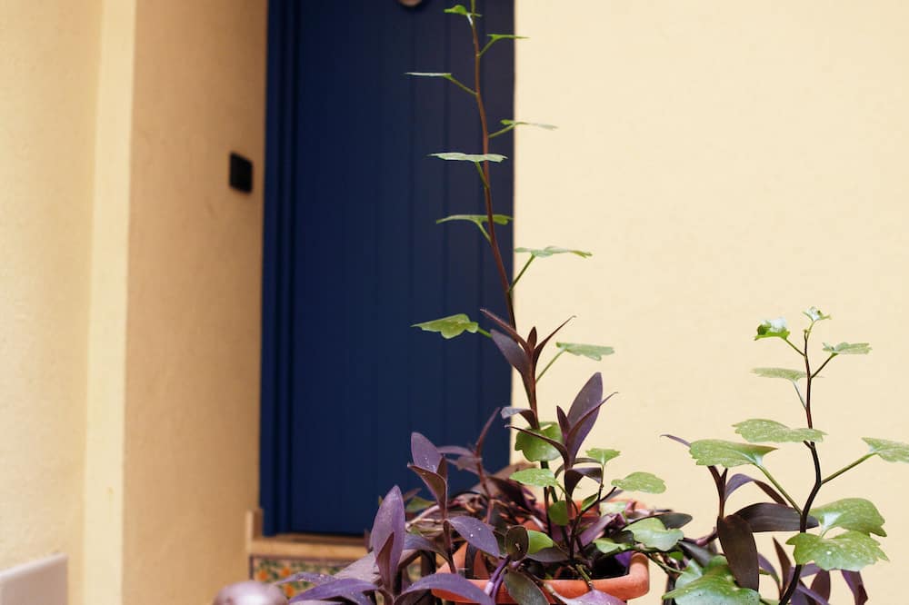 アパルタメンティ ロサ デイ ヴェンティ 写真