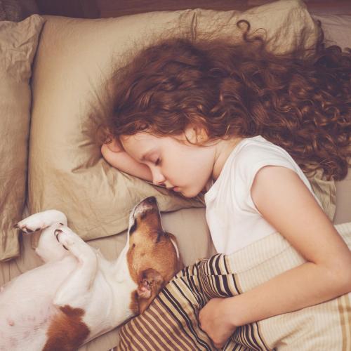 ファースト ホテル ミレニアム 写真