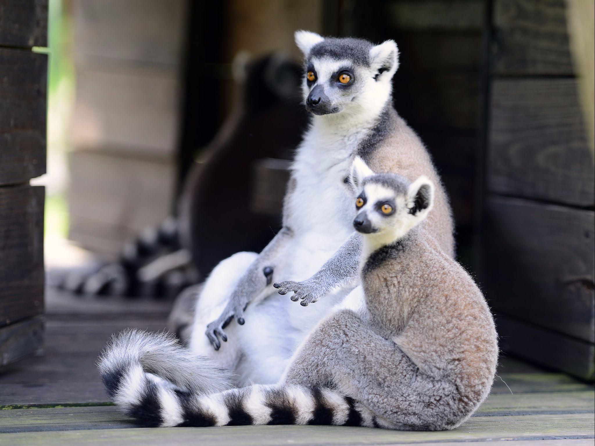 レオフー リゾート クァンシ 写真