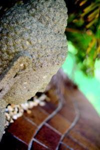 Ballina Palms Boutique Motel 写真