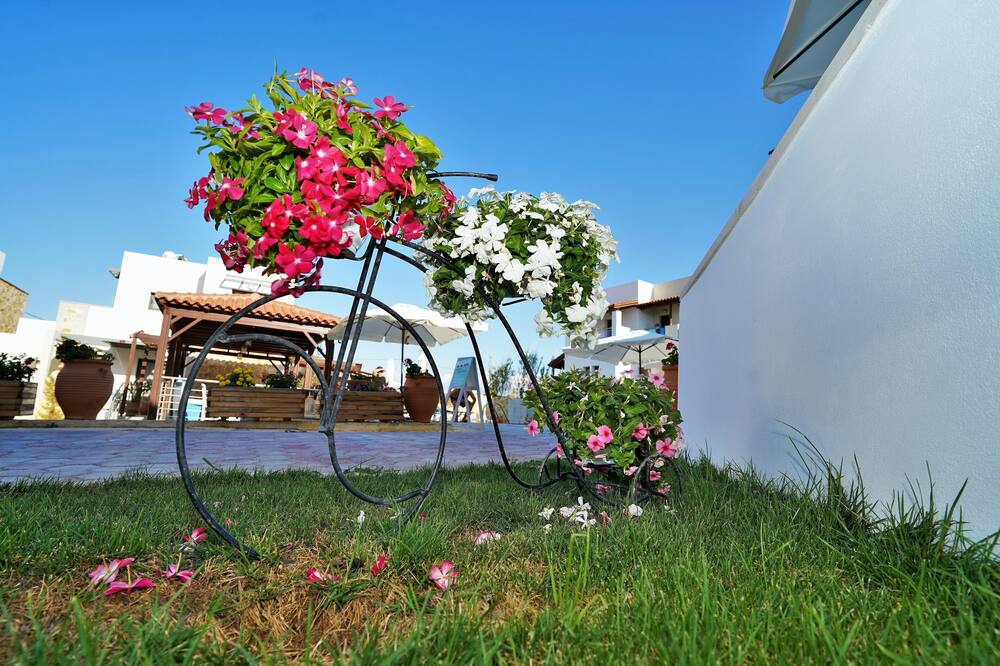 レドラ マレム ホテル 写真