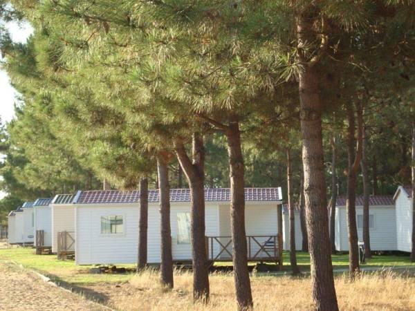 パルケ デ カンピスモ オルビトール シタヴァ ミルフォンテス 写真